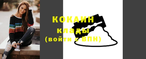 метадон Няндома