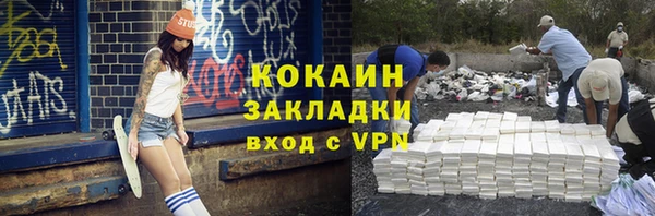 метадон Няндома