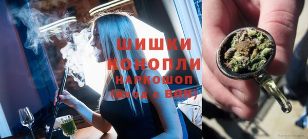 метадон Няндома