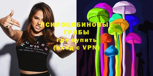 метадон Няндома