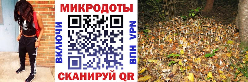 Псилоцибиновые грибы Magic Shrooms  Купить где  Кизилюрт 